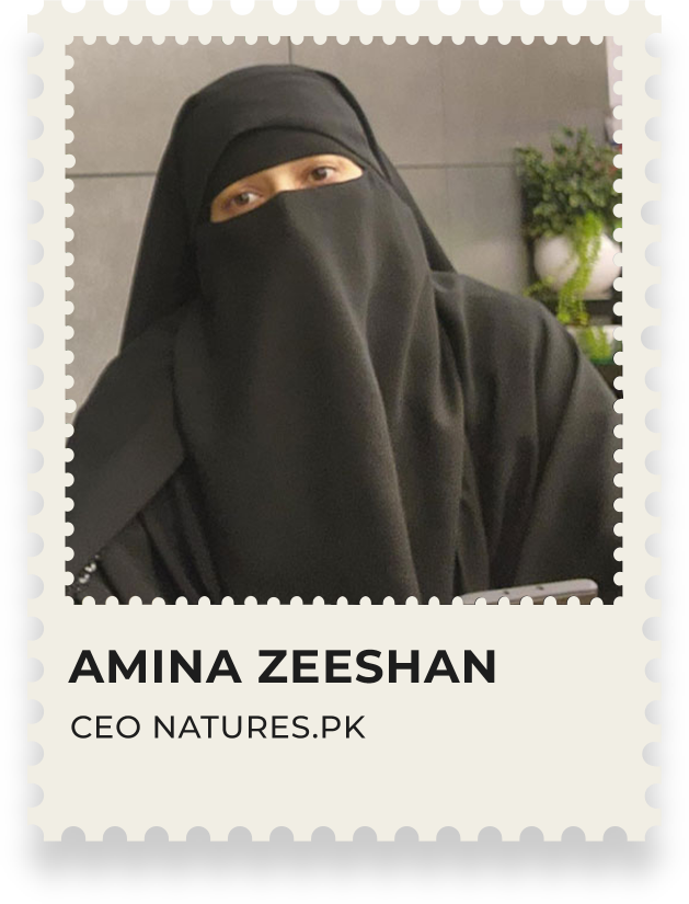 Amina Zeeshan
