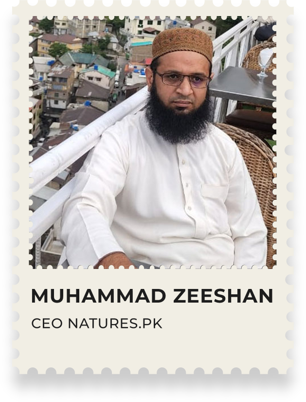 Muhammad Zeeshan